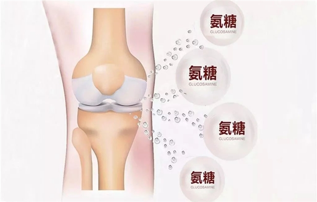 骨关节炎用药选择指南：硫酸和盐酸氨基葡萄糖胶囊的作用与功效