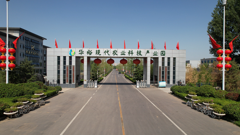 华裕农业科技有限公司:科技赋能蛋鸡产业
