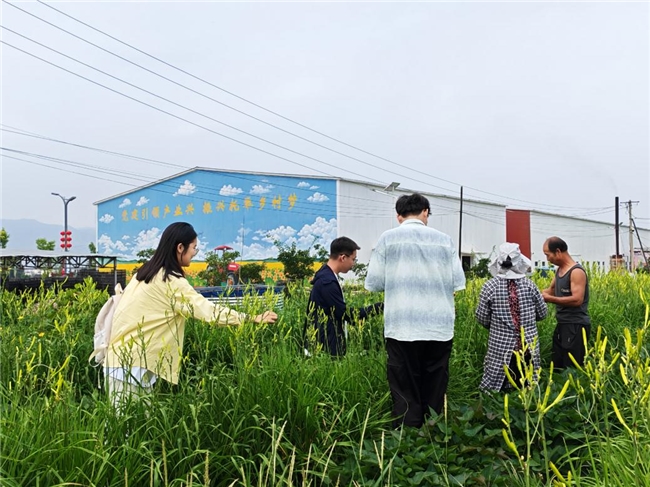 金针花开振兴路 青春筑梦乡村行  ——南通大学杏林学院红韵晋迹实践团赴灵丘开展暑期社会实践