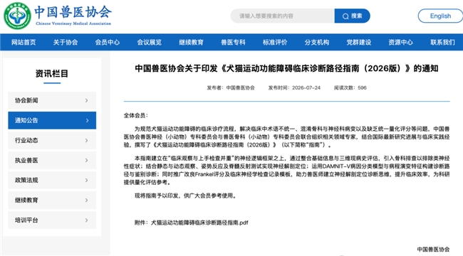 猫咪运动障碍确诊后怎么办？不同病因的预后与康复管理全指南