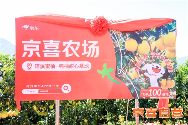 ​京东京喜农场福建平和揭牌 产地直采琯溪蜜柚 同品质价格低20%